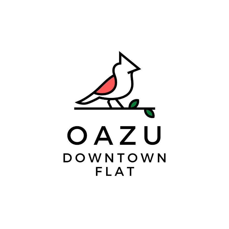 布达佩斯Oazu Downtown Flat公寓 外观 照片